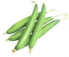 Ridge Gourd (Tori)