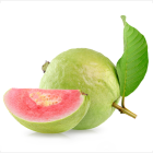 Guava Pink